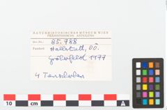 Foto von Keramikgefäß (NHMW-PRAE-085788)